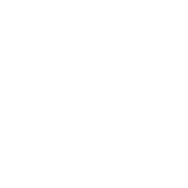 Newsletter icon